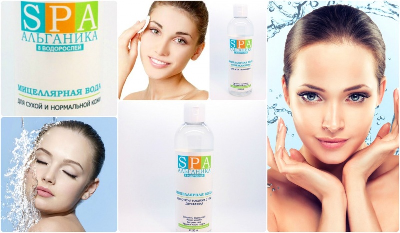 ���� �������. A��*�a���a. Spa-��������� ����������������� ������ �� ������ ����������� ������� ����������. 19 �����