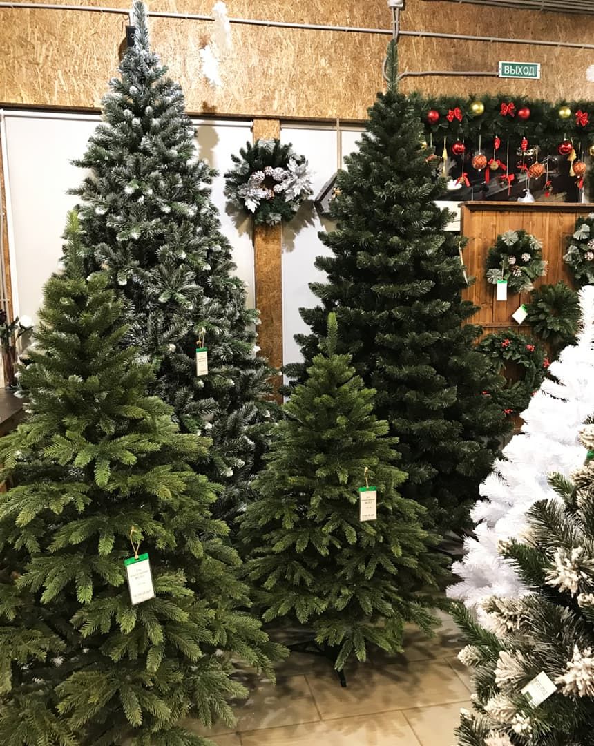 [b]���� �������. Erbis. �������� ��� � ������ �� ������ 2022-23.[/b]