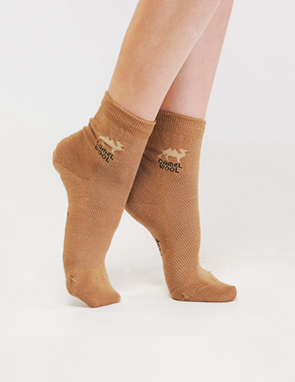 ����� - ���� �� ����������� ����