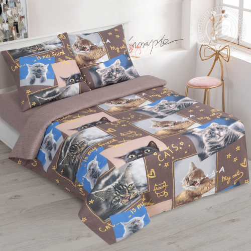 ���� �� 31 �������. ���. ��������� ���أ �� ���������� ������ �����. ����� ������! ��������!!!