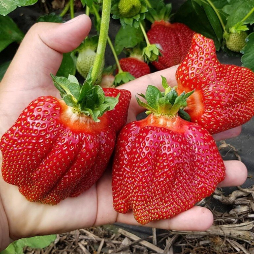 ���� �� 01/12. ���� � ������� ���������� �������� ��������/���������. �������� ����� � ������������ ������ � ��������.. ��������� �� ����� '23