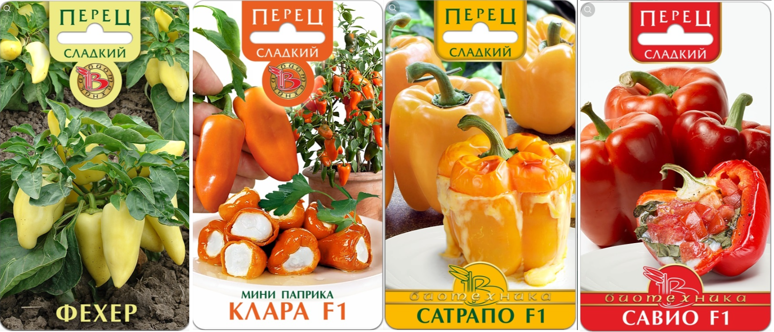 ������� �� ����������! ����� ����� �������� �����. ������ �� ��� ����������� ���������� ��������!