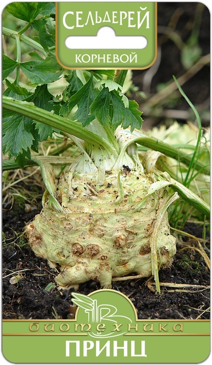 ������� �� ����������! ��������� �������� �����