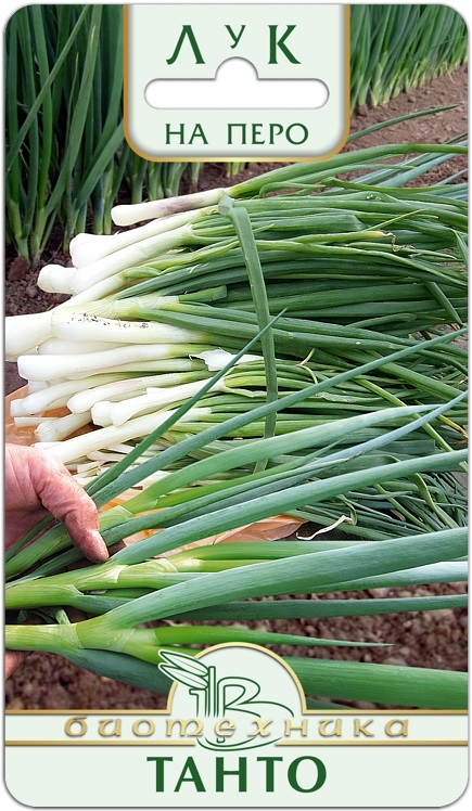 ������� �� ����������! ��� �� ���� �����. ����� ��������� �������� � ������, �� ���������� � �� ������. ����� ������ ������ � ��������� ����� ��������� �������� ��� � �������� ��� ���������� ���������������!