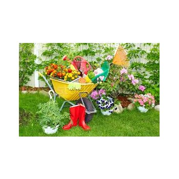 [b]���� �� 14.11. ��� ��� ���� � ������. ������ ���������, ���������, �����... ����� 32[/b]