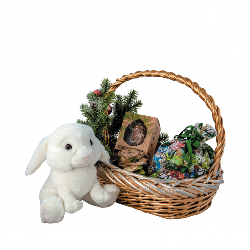 ���� �������. ������� ���������� ������� �����. ������. ��������. ���������..