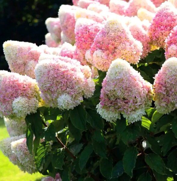 ��������� �� ������� � �����������. �������! ��������� �� ����� 2023!