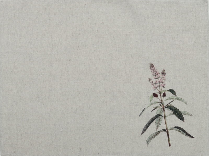 �������� ����������� � ��������� � ��������� �������� , �� � �������� ������,�����������