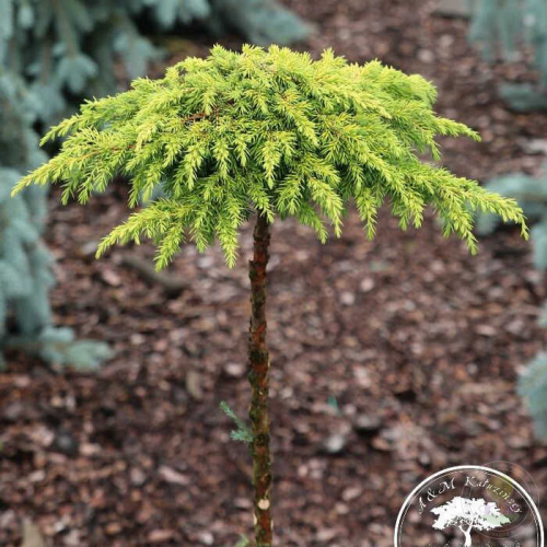 ������� � ������� ����������� �� ������. ������! ��������� �� ����� 2023