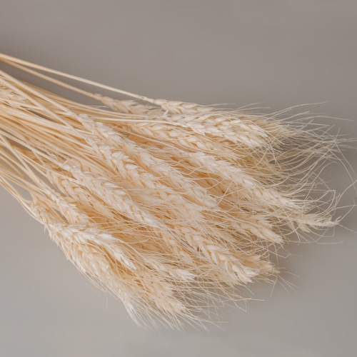 �������-�� ��������� ����� ����!