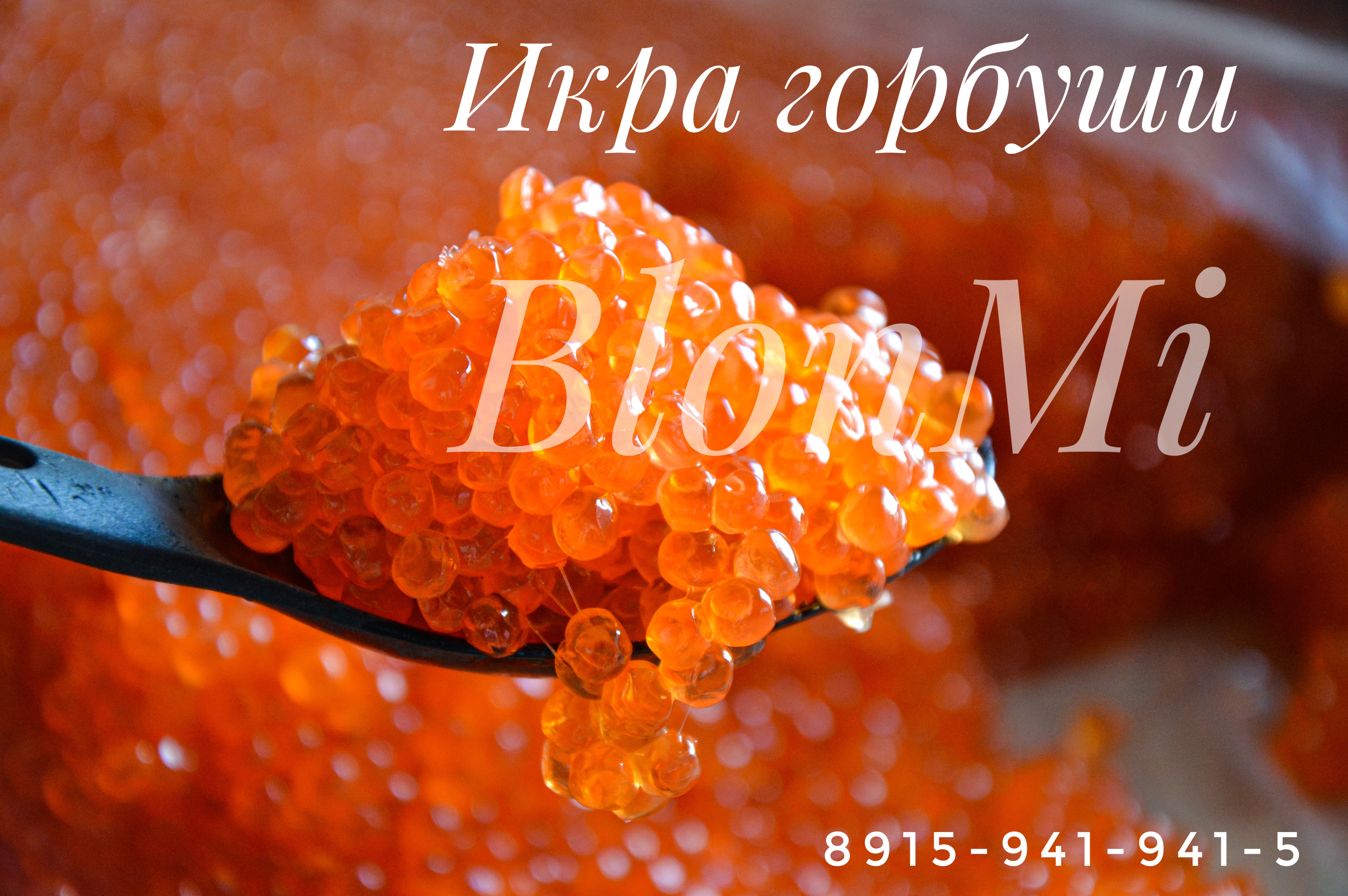 ���� �� ���������� ������� ���� �������, ����, ������. ���� ������ ��������. ������ ���������� ������