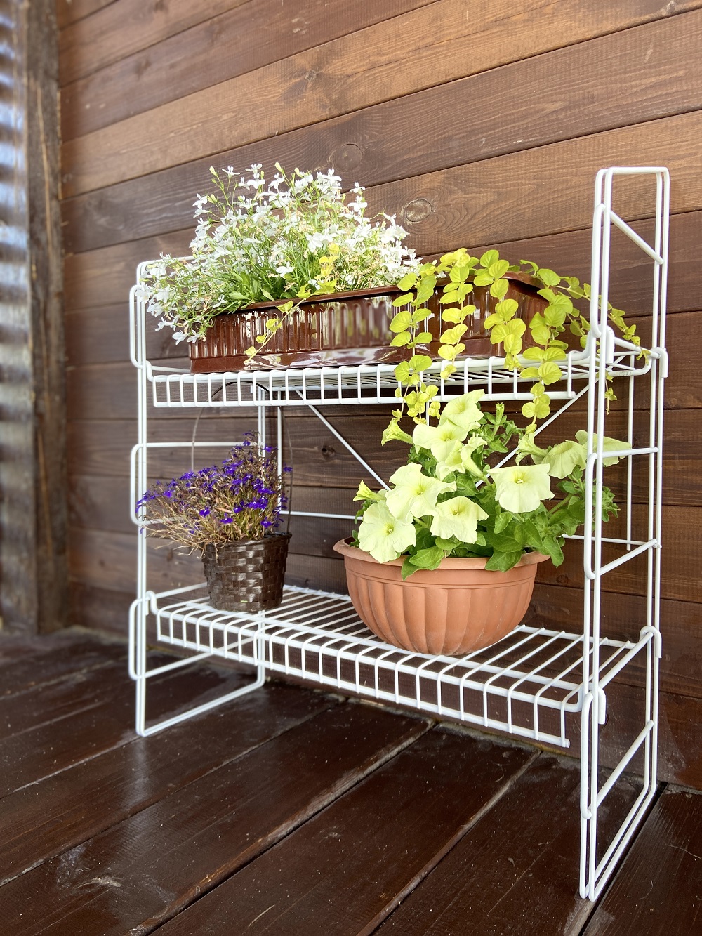 �������� ��� �������, ������� ��� ������� � ������ ������. 2/22