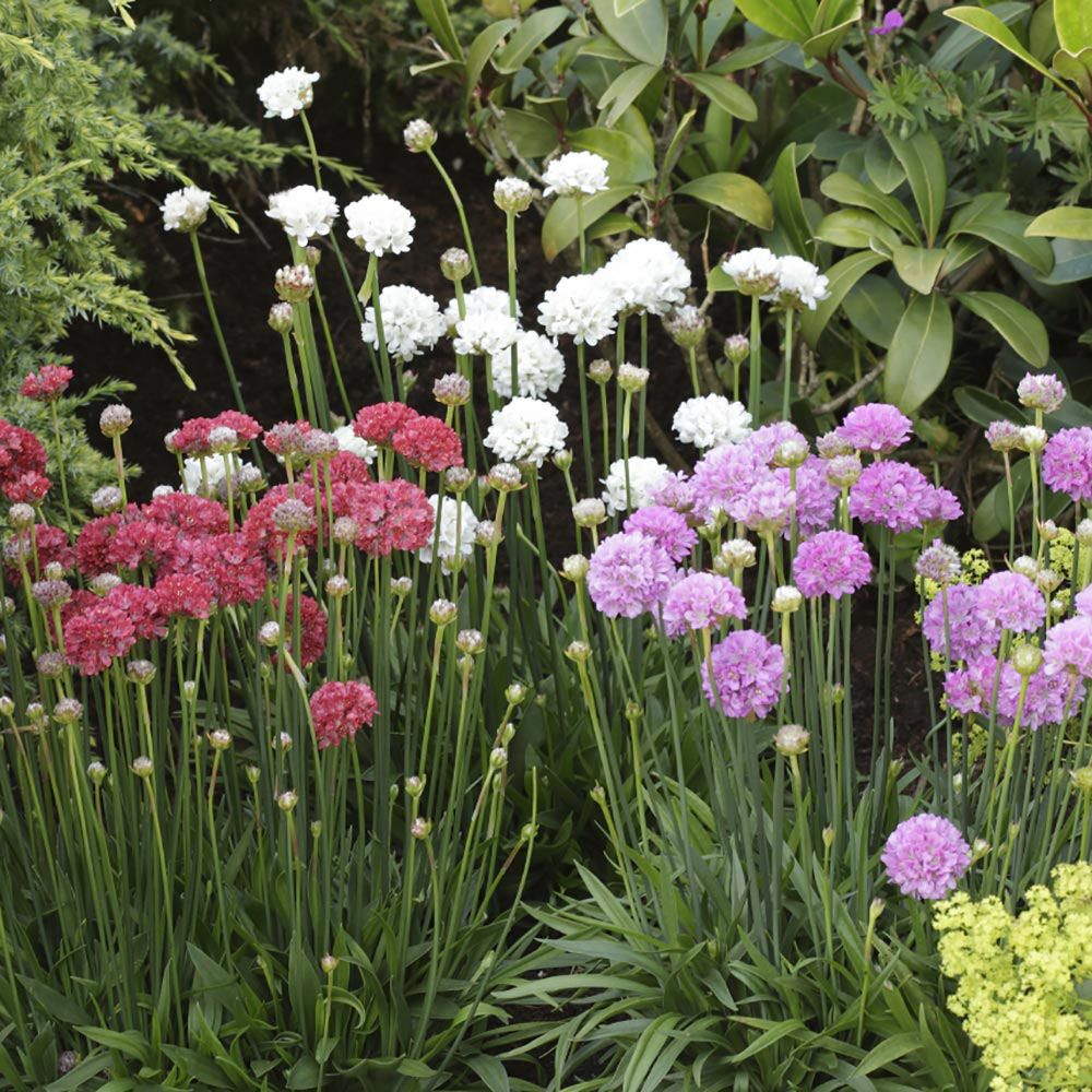 ���� �� 9.12 ����������� ����� ������ �������� ��� ���� - ����, �������, � ������ ������, � ����� ���������� ������������� ������������. �� ����� 2023