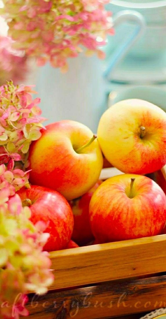 �������-������� � ���. ��������� �� ����� 2023!