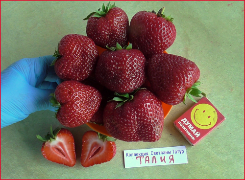 ������� ��������. ���� � ������� ������� ��������!