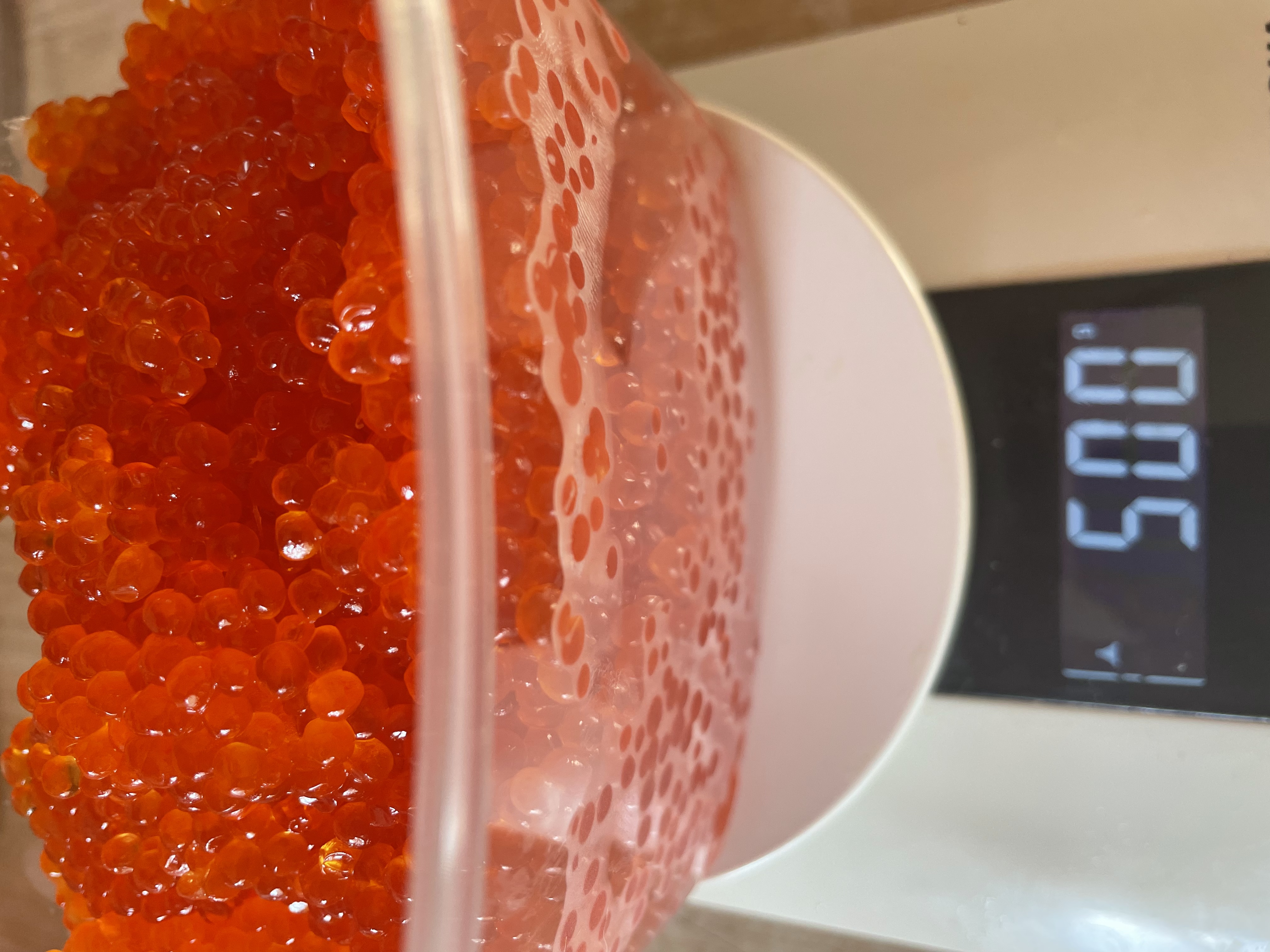 ��� ��� ��� ���� �������)