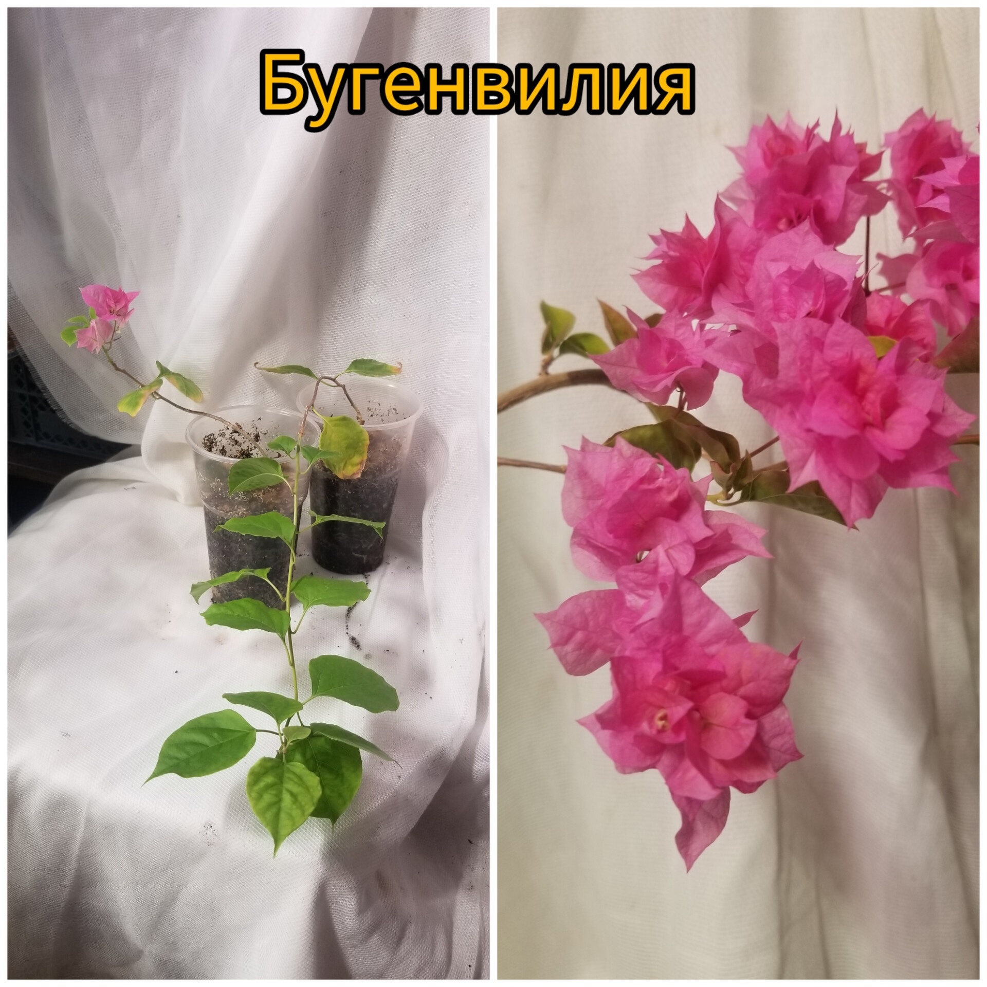 �������� ��������� ��������!