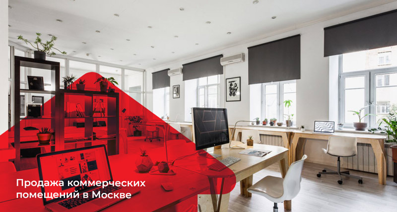 ������������ ������������