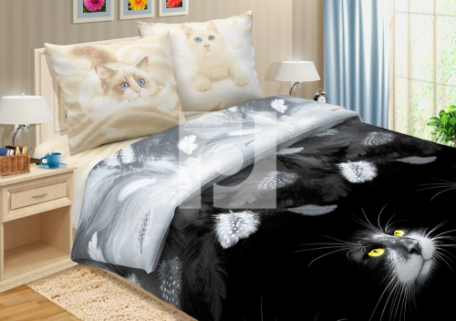 ��� ������, ������ "�����" 