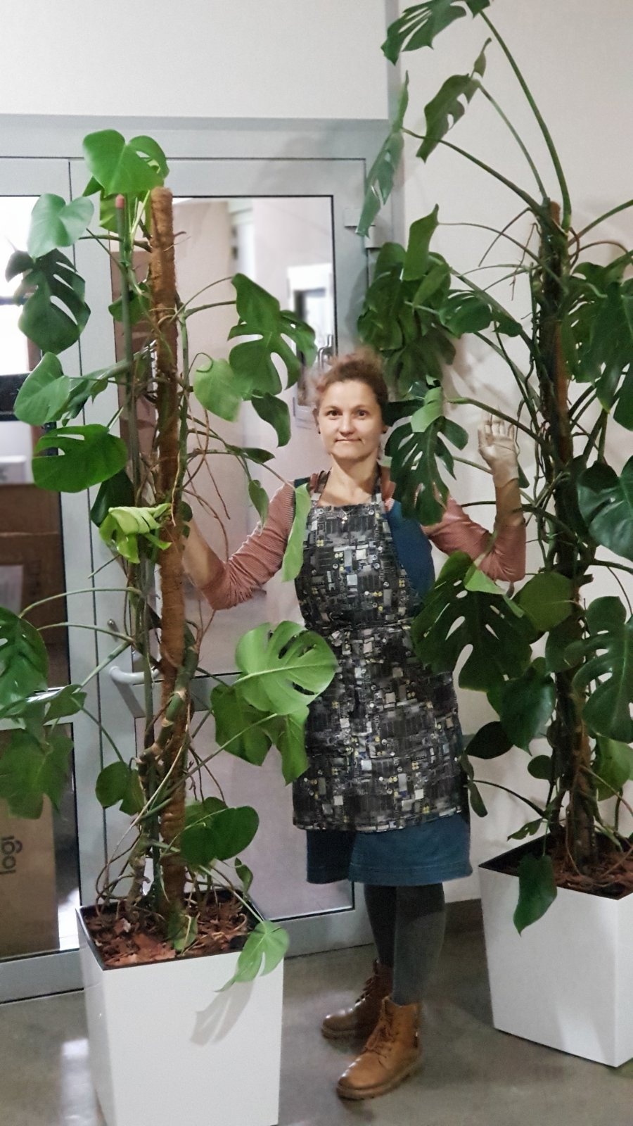 ���� �� 18.12. ��������� ��������. �������� ����� ������.