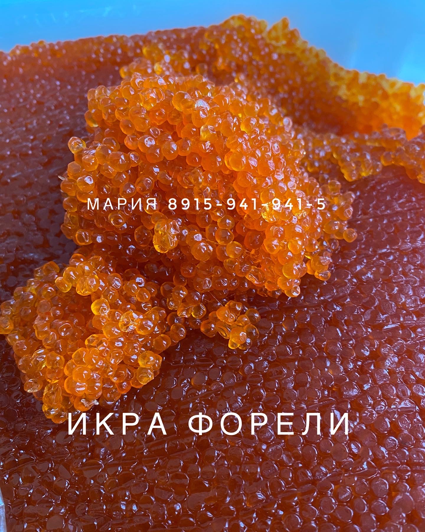 ���� �� ����. ��� ������� ������ ������, ������� ����