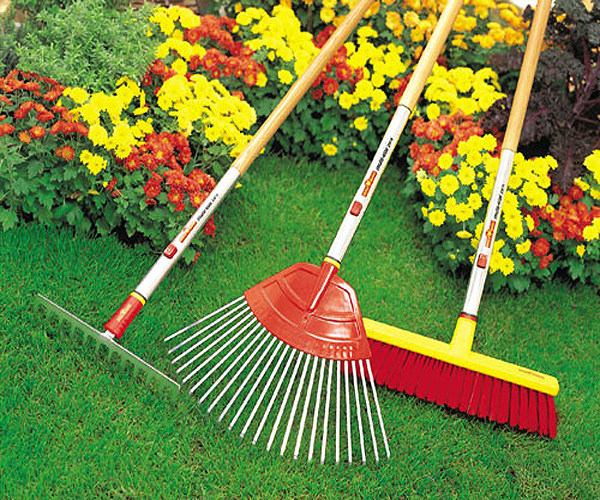 ������� �����������! ���������, ������� ���������, �������, ������ ��� �������! 11/22