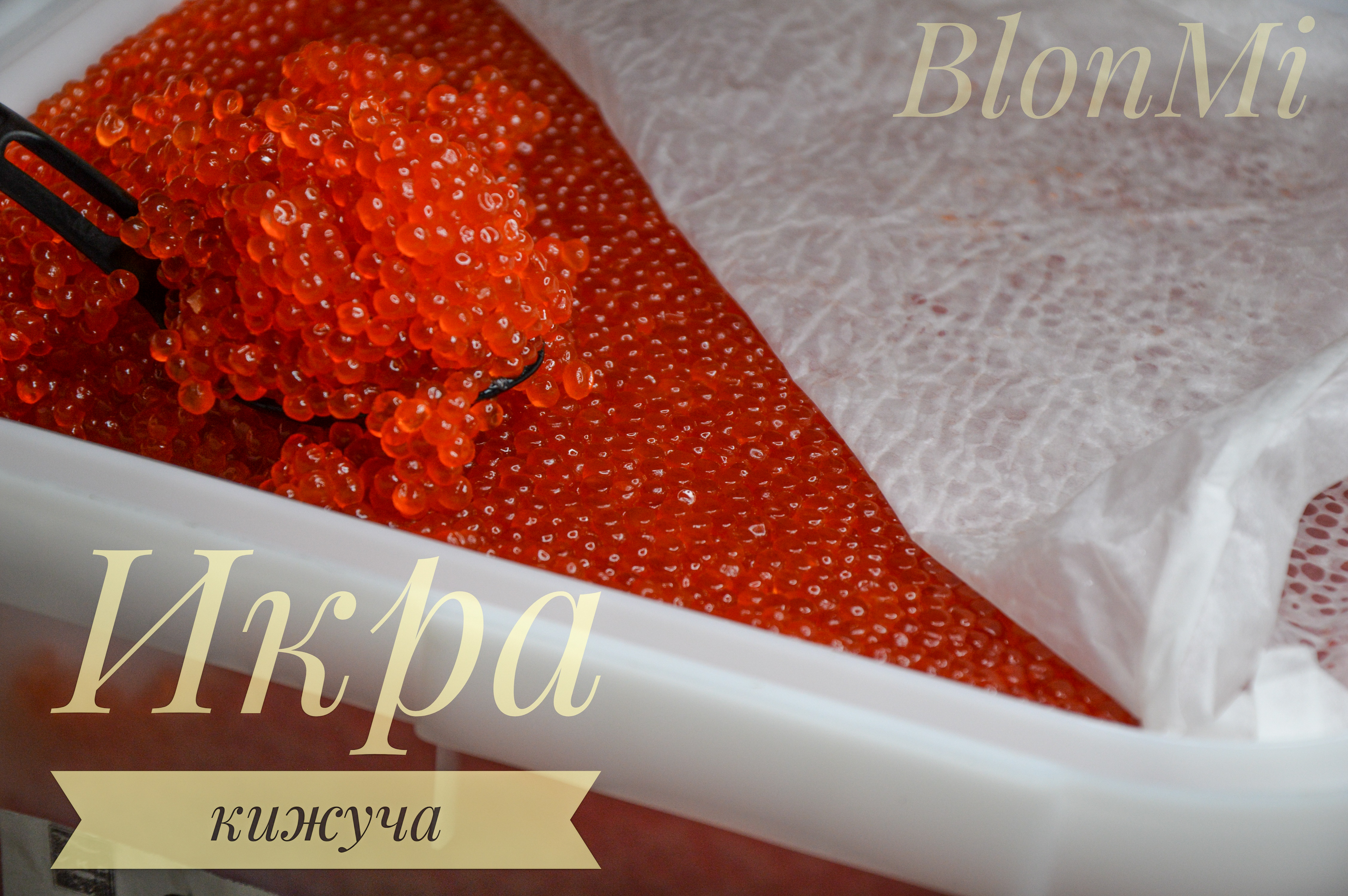 �������������� ���� �� ���� � ������ ������