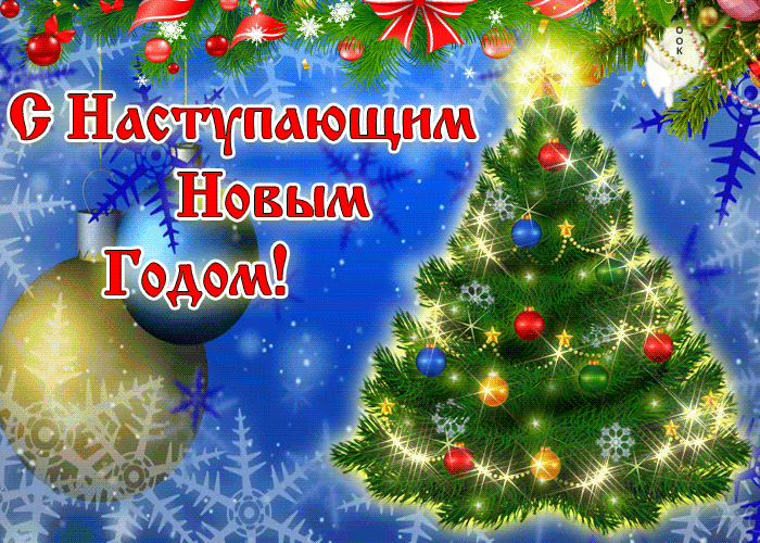 ��� �����