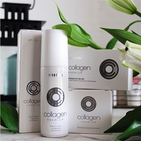 ���� �� 12.01.����������� ��������� ���*��.�������.����������.���������� ������ �� �������� �����-1/2023