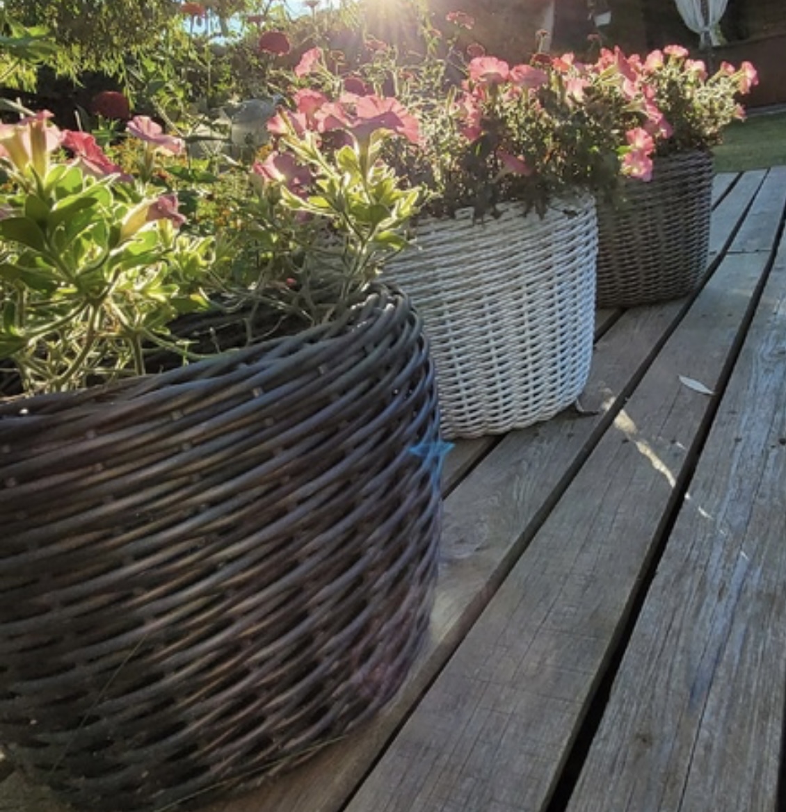 � ������� ����� �� ��� ������� ������ ������!!!