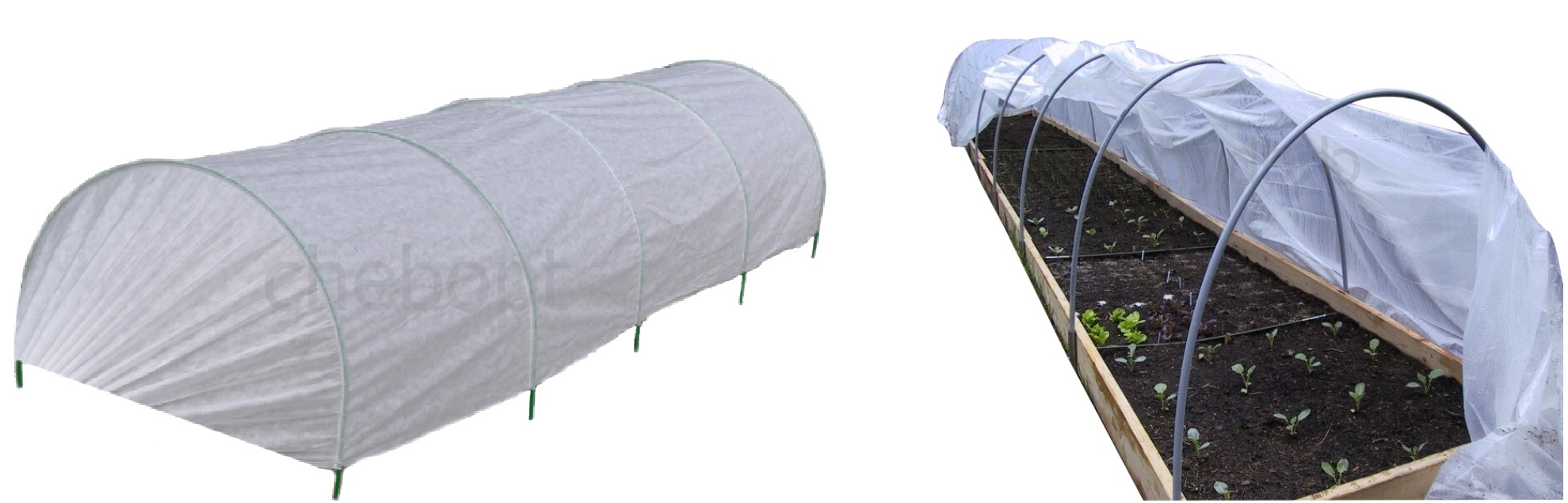 C��� �� 15.01. ���������! �������!