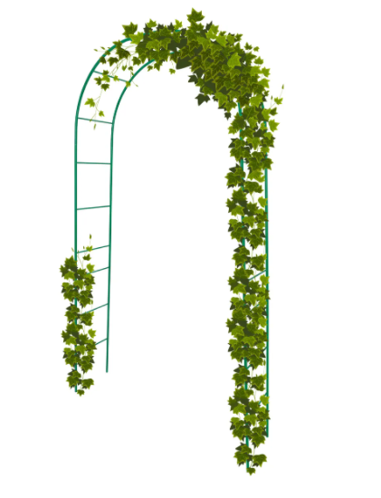 ����� ����!���������� ����� ����� � ������ �� 5 ����� � ��� ������� ������. ������ � �������. ������� �������� ��� ���������, �� ����� ��� � ��� ��������� ���� ����� ������.   