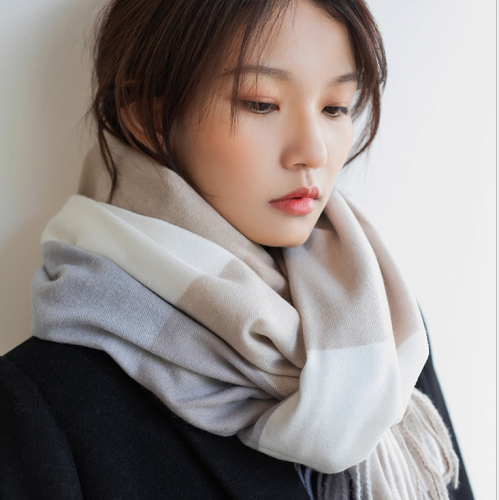 ���� �� 19/01. �������� ����������: �����, �����, �����.