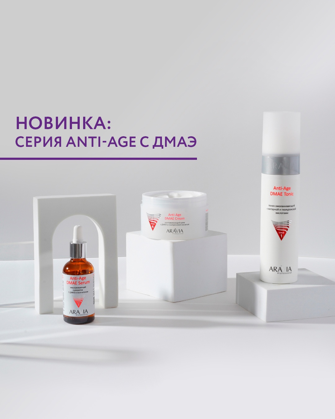 ���� �� 15.01. Aravia - �������� ����� ����������������� ����� �� ����� �� ����� ������ ���� �� ������! �������� ��� ��������� � ����� ����� ���������! ��������! ���������������! ��������� ��� ���� � ����! �����������! ����������� �����! �����������! ����