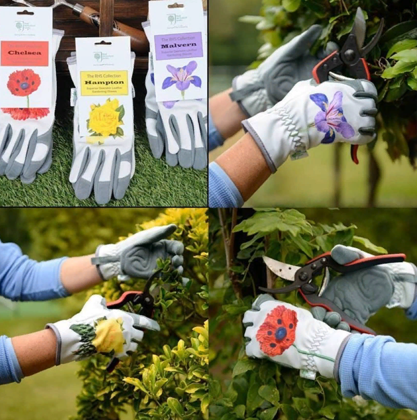 ������� ���������� �� ������ ������� ������ Dewit, Offner, Berger. ������ �������� ��� ���! �������� Okatsune. 2/23