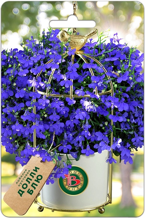 ������� �� ����������! �������������� �������� �������. ����������� ��� ���� � �����! �� ������� �� ����� ���� �������)