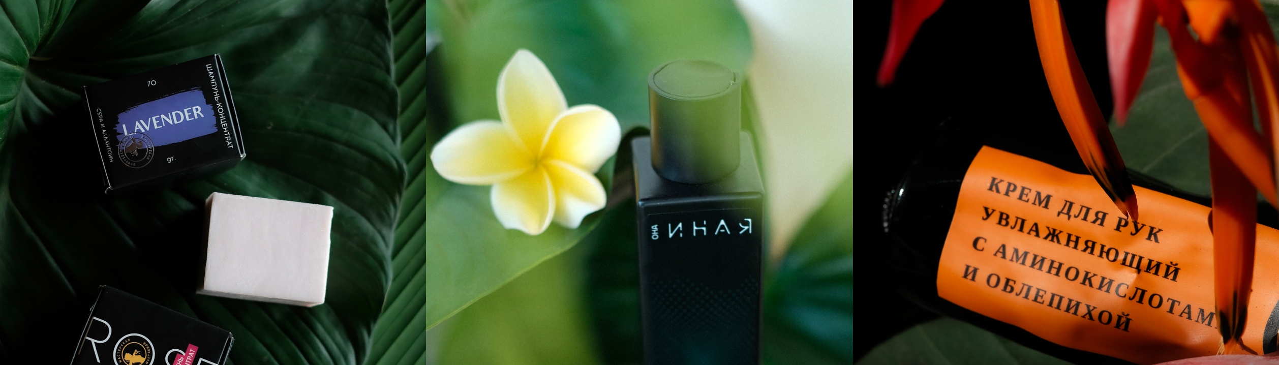 ���� �� 8.02.���������� ���������� �������! ����������� ���� �� ����� ���������-146, ������� �����-11. ������� �������