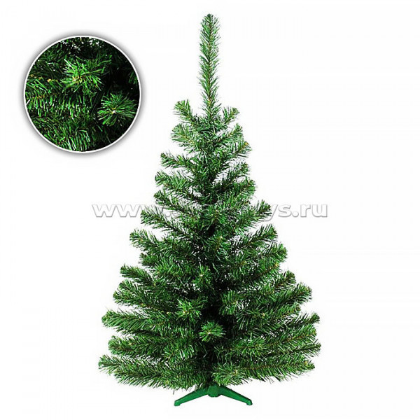 ���� 5. ���������� ���������� �������: ���,�����, �����. ���������, ������������ �������, ����� � ������� ����������, ������, ������, ����������, ����, �����, ������. ���������, ������, �����, ����. ������,������ ����, ��������, ��������, ����. �����