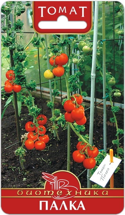 ���������� ���� ������� - ����� - � ���������, ������ ��������������, ������������ ��������! �������� ������������, ��������� ��������� ������������ ������� �������