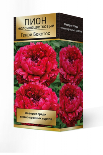 ���������� � ������������ ��������� �����������! � ����������� ������� ��� ����������!