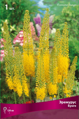 ����� �������, ������ �������� ����������� ����������, �������� ������������� � 228 ������ �����!