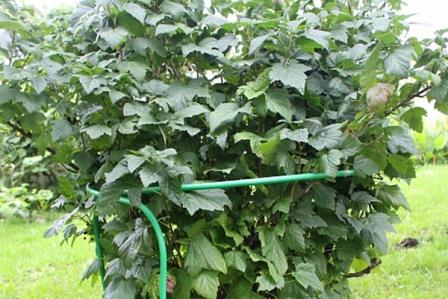 � ������� �������� � �� ������������ ������� ����� �������� ������������ �������� �������� � ����������. ���� ��������� ����� �������������� ��������� - ��������������. ��� �������� ��������� �����������!  