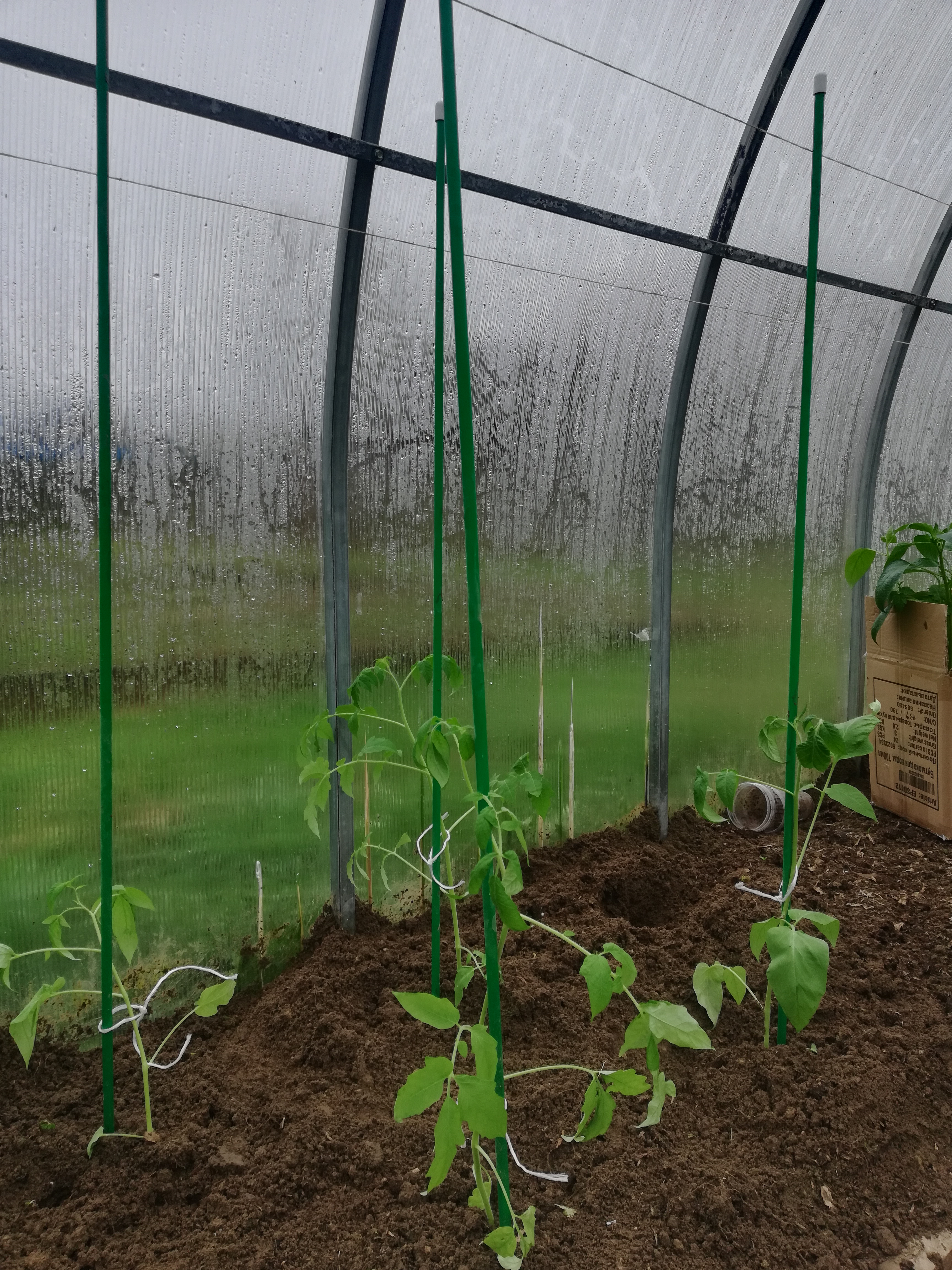 ������� ��� �������� �������, ������� � ������ ��������.��������� ������>>>>��������� ���� ��� � �� ��� �����, ���� ������ �� ��������� ���������� �������,-������ ����������� �������� -��������� � �������������   