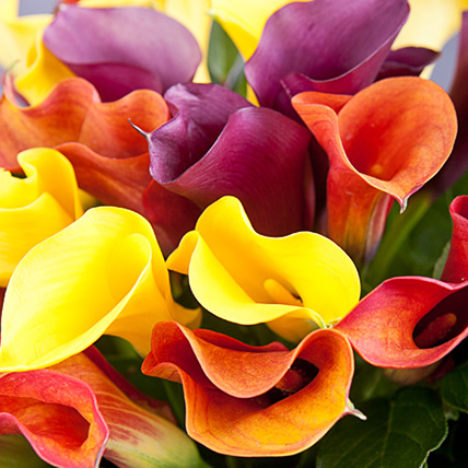 ���� �������. 18/02. ����-sale. �� ������� � ��! ����� ��� � ��� �� ������! ��������� � ������ ����� ���� �� ���������! ��� �����! ���������� �����������!