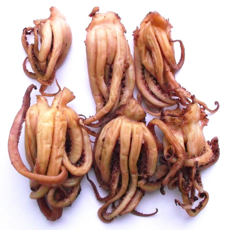 ������� � ������� ������������, ����, ����, ������� � ����- 24