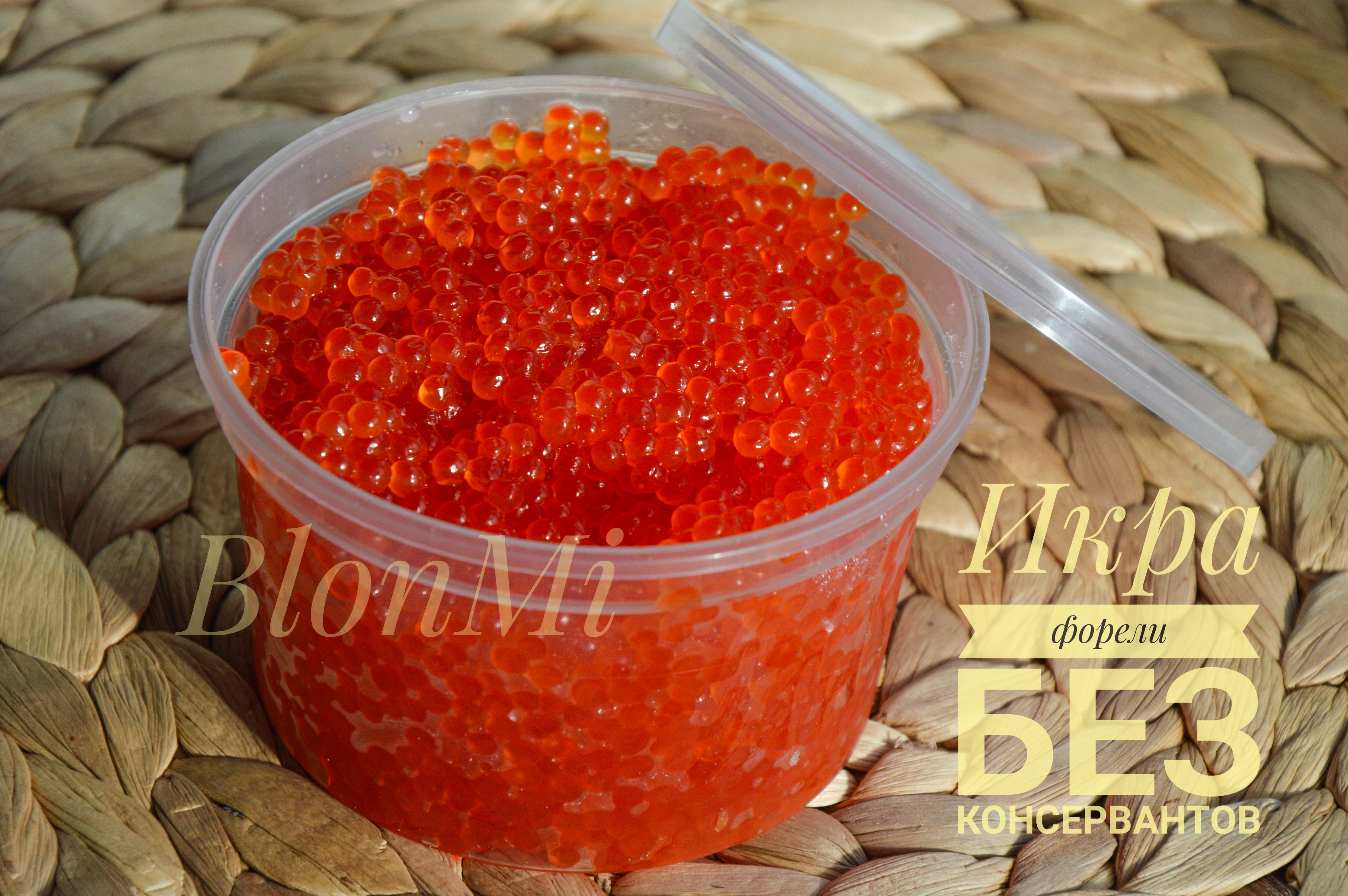 ������ ���� �� ���� ������ (���� ������������ 16.01!!! ������!) , �������, ������, ������. ������ ������ 