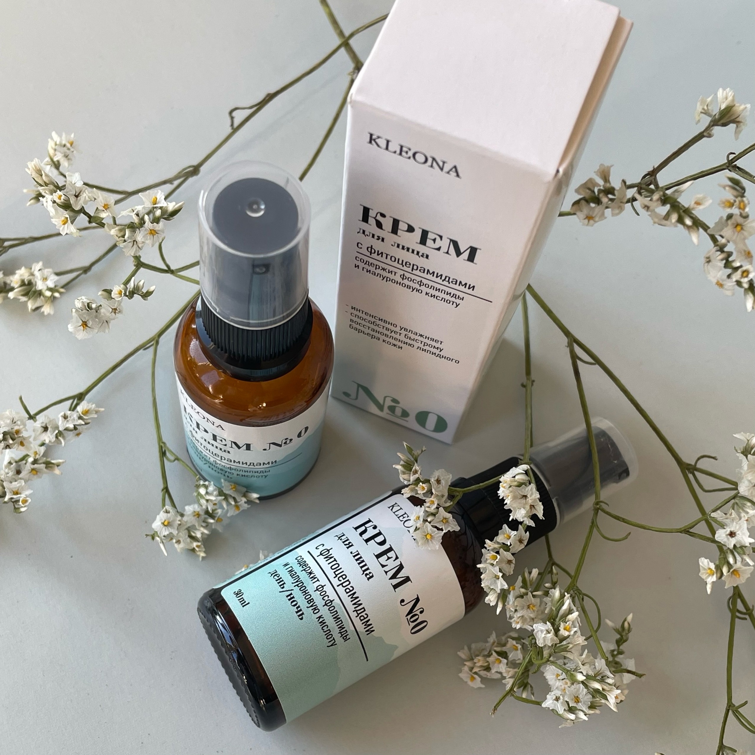 ����������� ��������� �� ������������ ����������� Kleon�. ����-36 