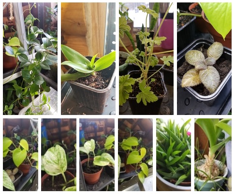 ���� �� 01.03. ��������� �������� �� �������� ���������. ���� �� 50 ������! 