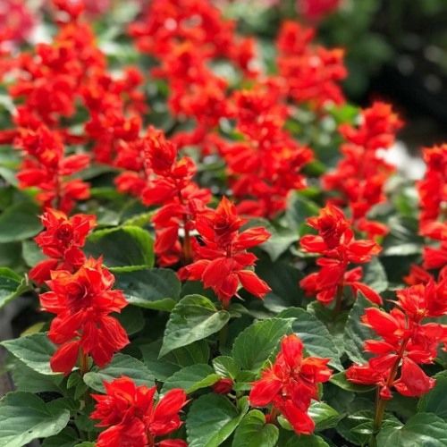 ������� ������. �������(��������). �������. ��������� 1-23