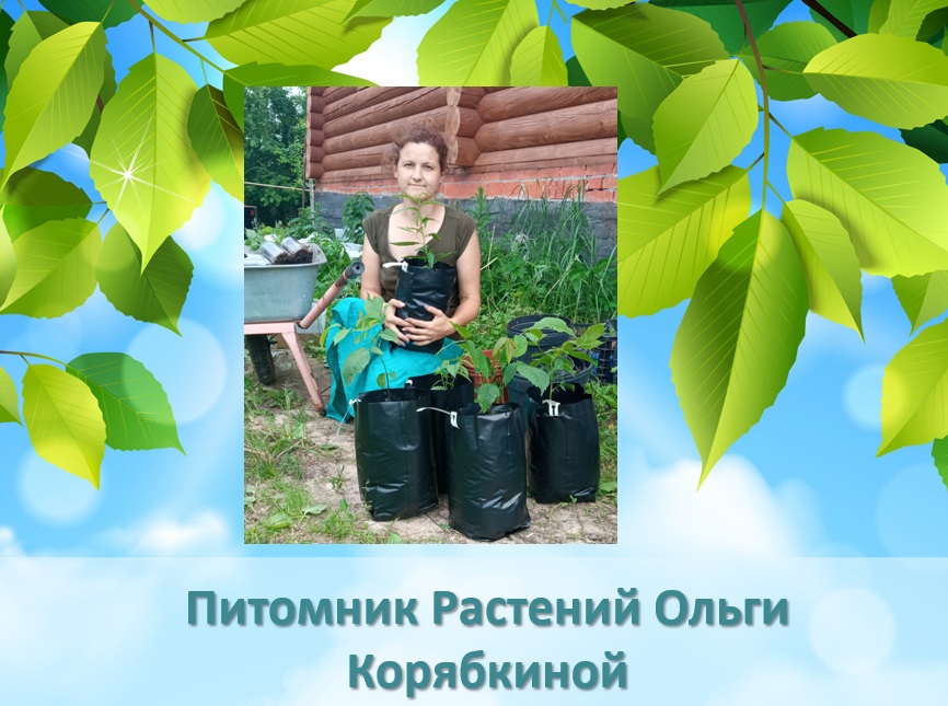 ���� �� 20.04. ������������� ����� -35 ��. - ������� �����, ������������, ������ � ��. ��� ��������.